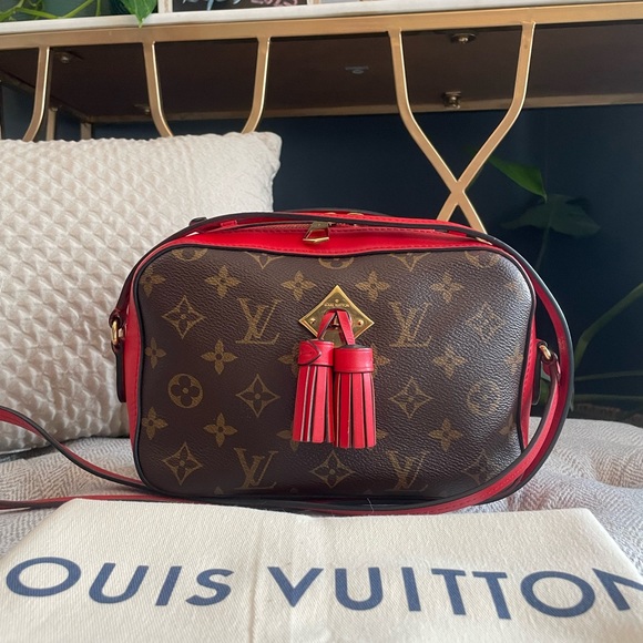 Price is FIrM*Louis Vuitton Saintonge - Picture 14 of 16